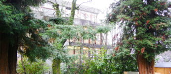 Jardin - Ecole Lémania