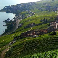 Campus - Lavaux