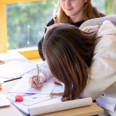 Elèves du secondaire au travail. Secondary students at work